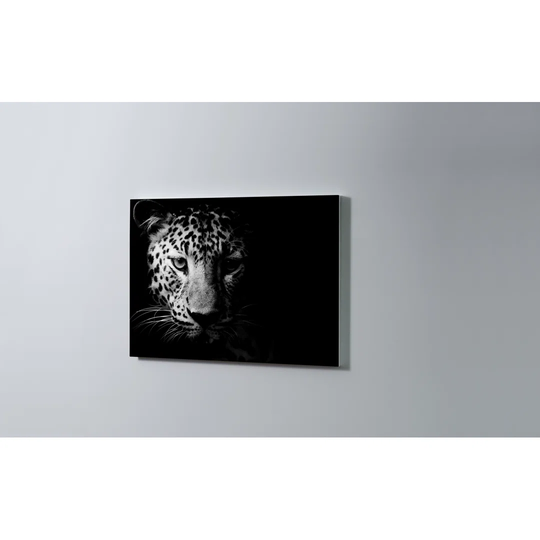 Leopard Magnetic Wall Mounted Cork Board