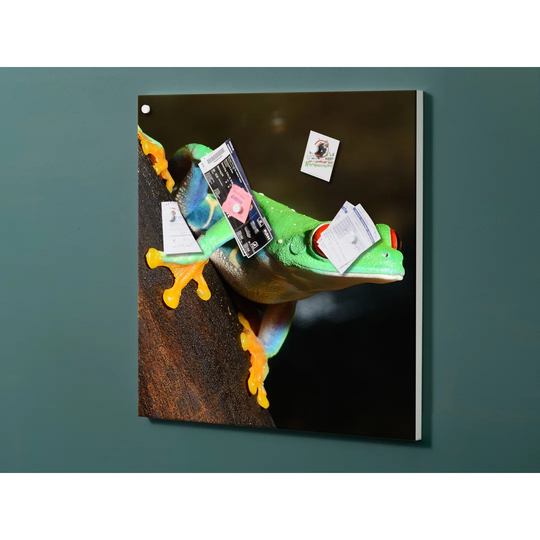 Notiz Motive Frog Magnetic Wall Mounted Cork Board