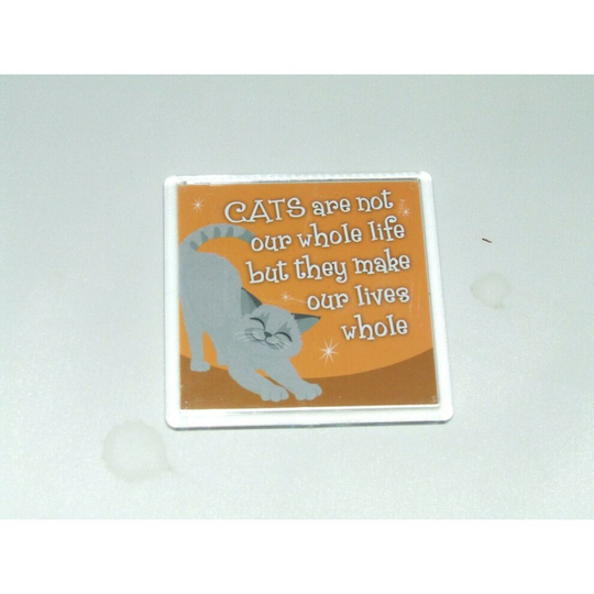 WAGS TO WHISKERS FRIDGE MAGNET GREY CAT (21)