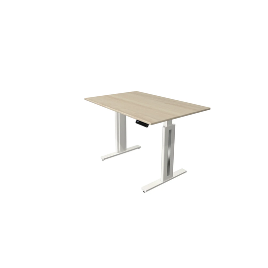 Andeana Standing Desk