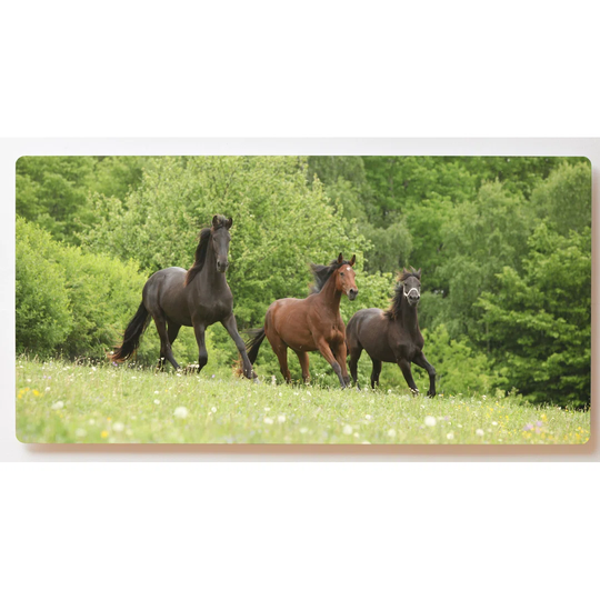 Backlight Motive Wall Picture Horses Magnetic Cork Board