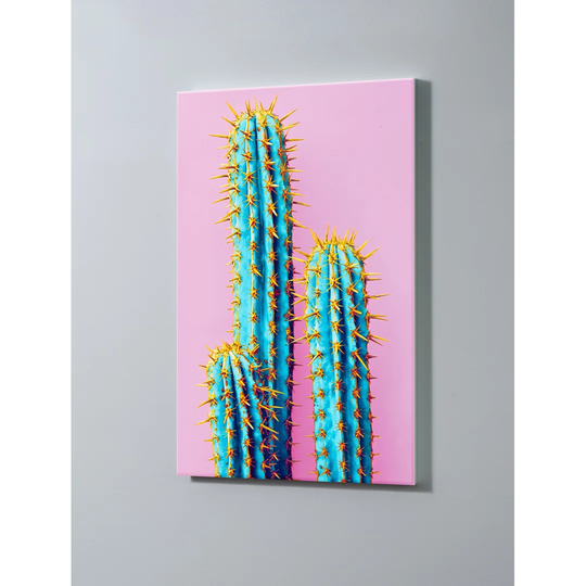 Cactus Magnetic Wall Mounted Cork Board