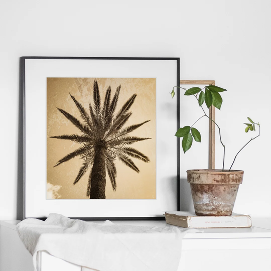 Square Palm Tree N°3 - Picture Frame Photograph Print on Paper