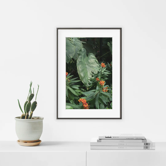 Green - Picture Frame Photograph Print on Paper