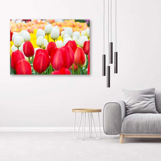 Canvas Print Tulips Flowers Nature Plants