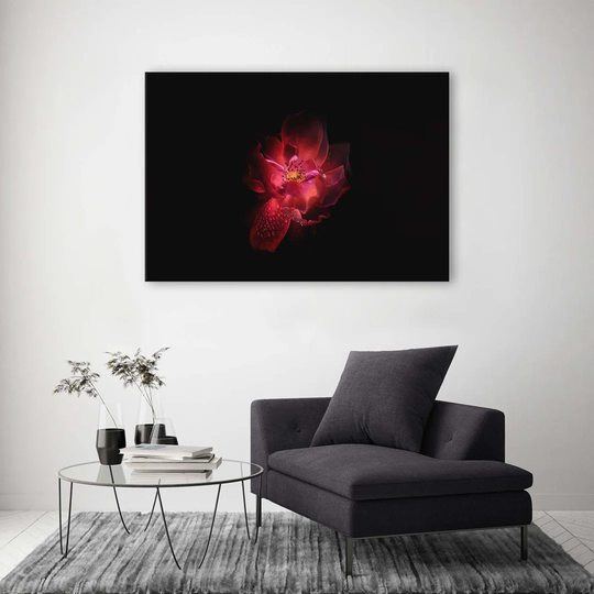 Canvas Print Pink Flower Black Background