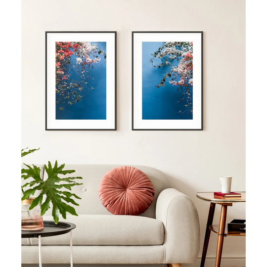 Bougainvilliers Diptych - 2 Piece Picture Frame Photograph Print Set on Paper