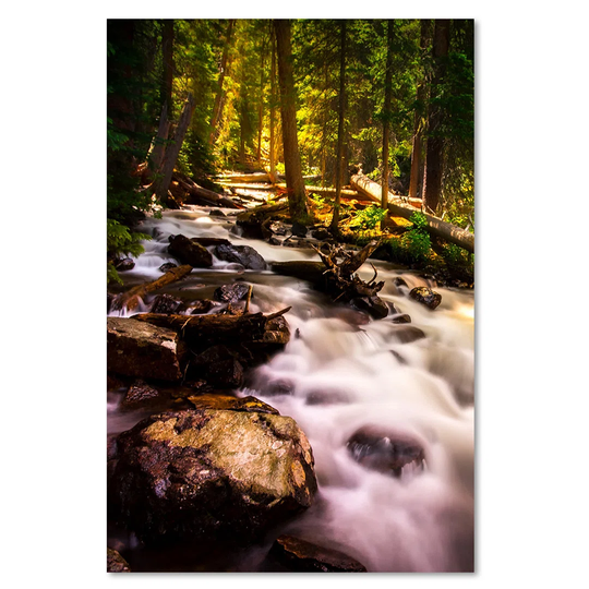 Canvas Print, Green Landscapes 16356