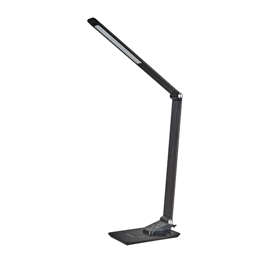 Butledge 45Cm Black Desk Lamp USB