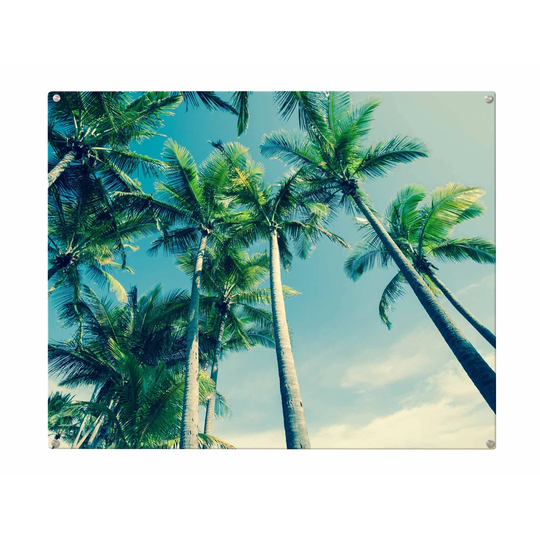 Palms Magnetic Wall Mounted Photo Memo Board