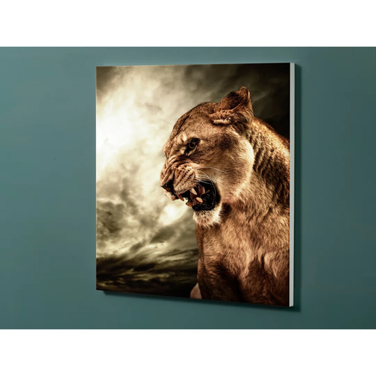 Notiz Motive Puma Magnetic Wall Mounted Cork Board