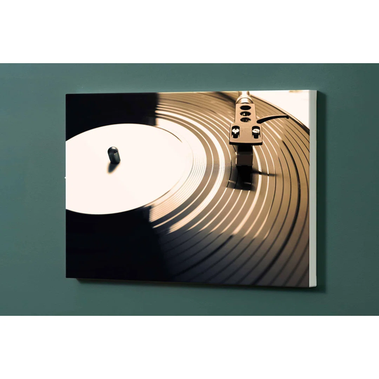 Records Magnetic Wall Mounted Photo Memo Board