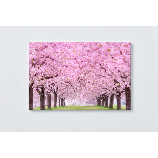 Tree Avenue Magnetic Wall Mounted Cork Board