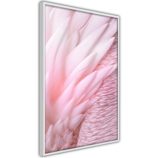 Poster - Pink Feathers