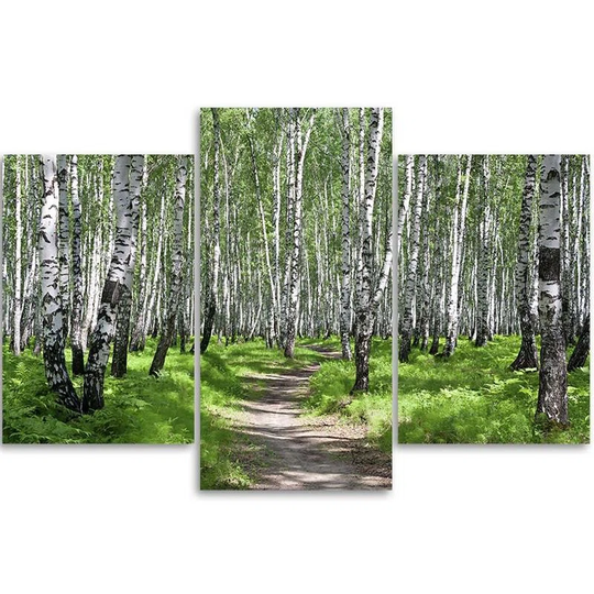 Canvas Print Birch Forest Nature