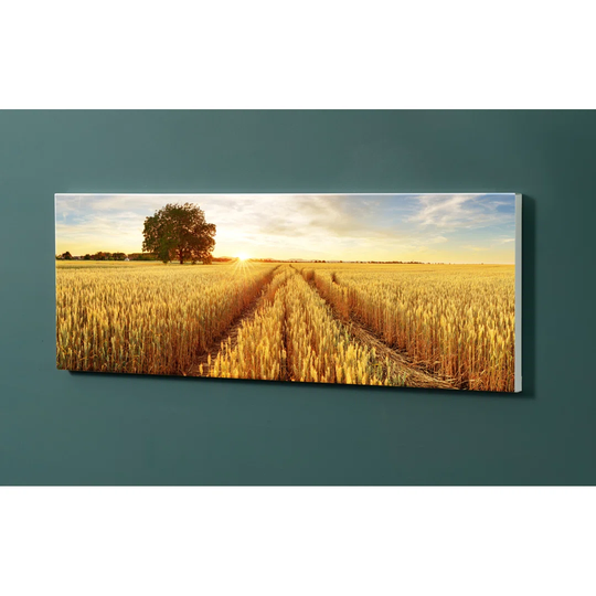 Notiz Motive Grain Field Magnetic Wall Mounted Cork Board