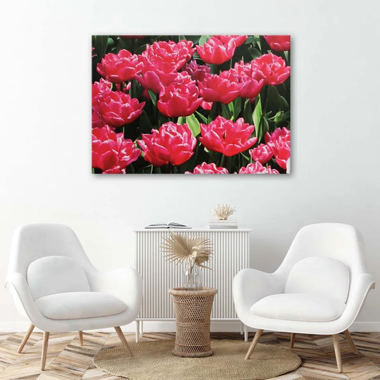 Canvas Print Pink Tulips Flower Nature