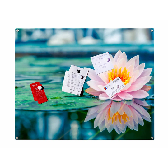Water Lily Magnetic Wall Mounted Photo Memo Board