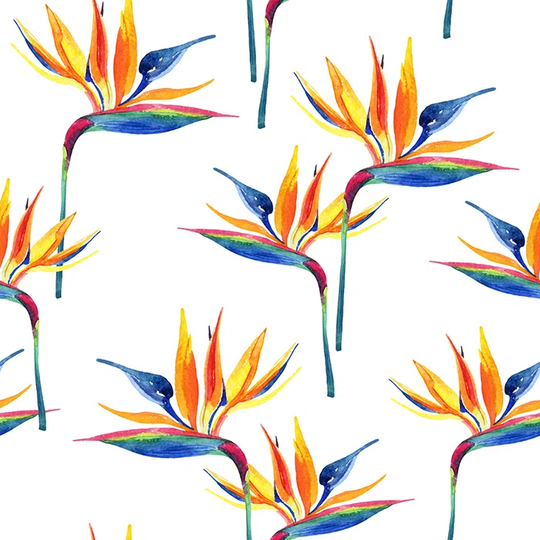 Walllpaper Roll 360X250cm Wallpaper Material With Print Kitchen Livingroom Bedroom Mural Decoration - Bird Paradise Light