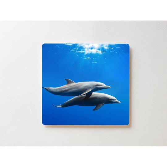 Backlight Motive Wall Picture Dolphins Magnetic Cork Board