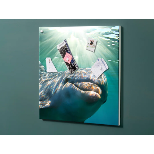 Notiz Motive Dolphins Magnetic Wall Mounted Cork Board