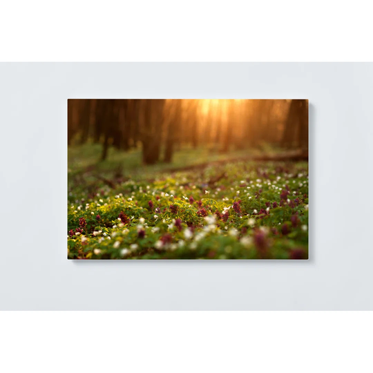 Meadow Forest Magnetic Wall Mounted Cork Board