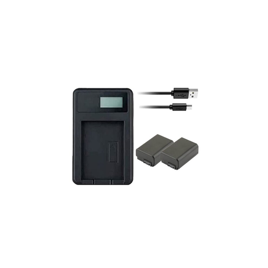 USB Battery Charger and 2 Batteries Sony Alpha SLT-A37 DSLR Camera