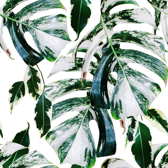 Walllpaper Roll 312X219cm Wallpaper Material With Print Kitchen Livingroom Bedroom Mural Decoration - Minty Palm Leaves