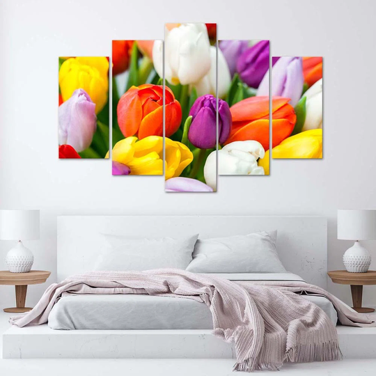 Canvas Print Colourful Tulip Flowers