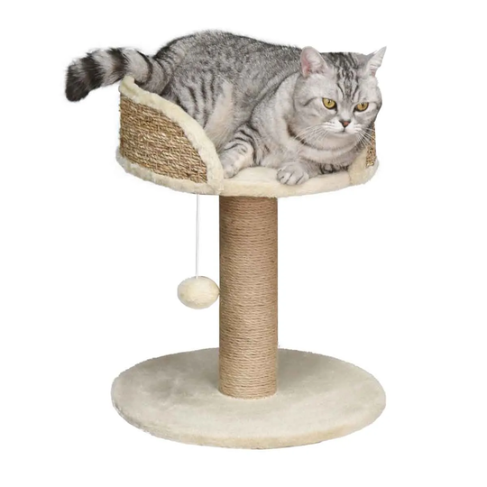 PawHut Cat Tree with Scratch Post