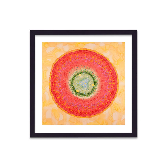 Cellular Beauty Art 20 Vibrant Orange With Green Centre