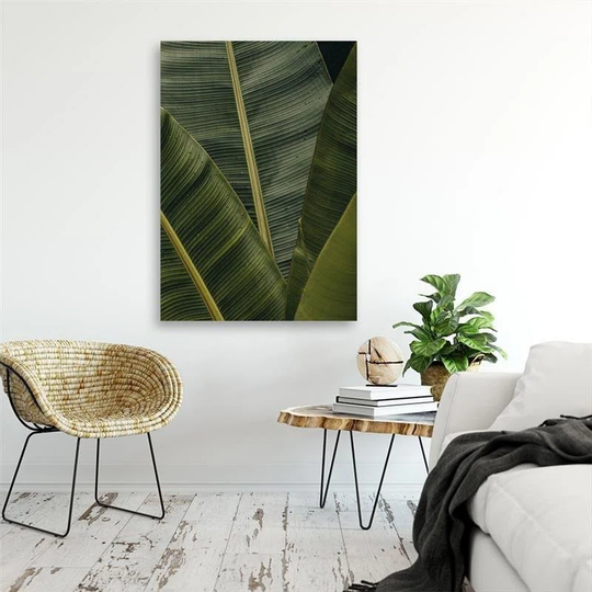 Canvas Print Banana Leaves Nature