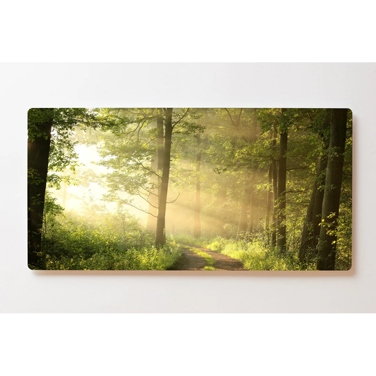 Backlight Motif Wall Picture Forest Trees Sunrise Magnetic Cork Board