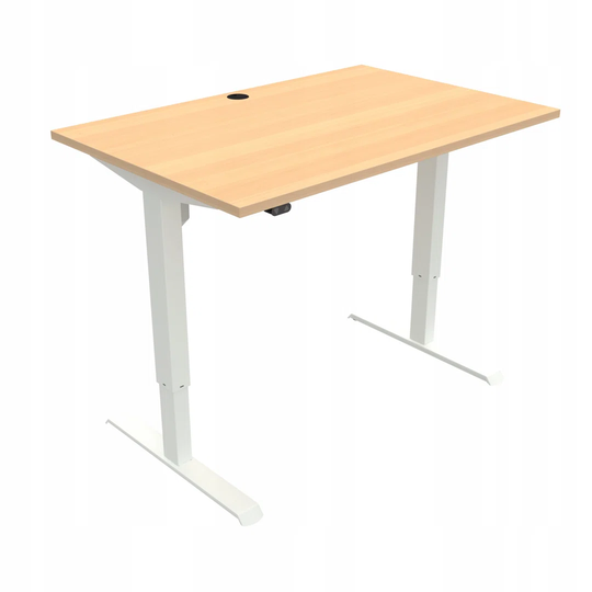 120Cm W Rectangular Standing Desk