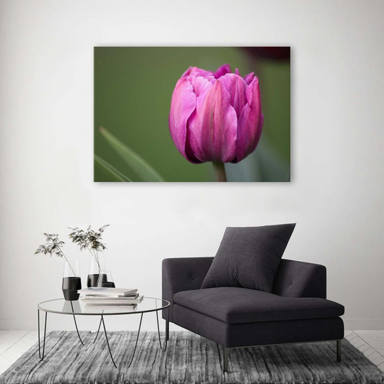 Canvas Print Purple Tulip Blossom