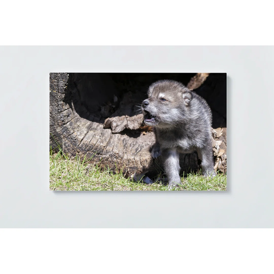 Wolves Motif Magnetic Wall Mounted Cork Board