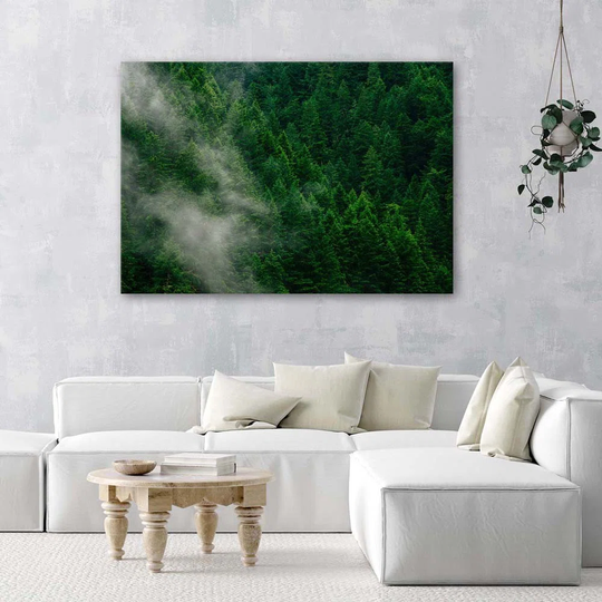 Canvas Print Forest Fog Nature Green
