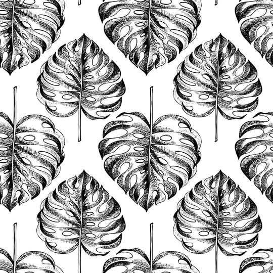 Clyne Monstera Leaf Tropic Floral Wallpaper