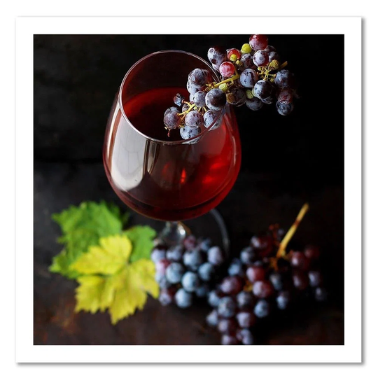 Canvas Print Grapes Red Wine