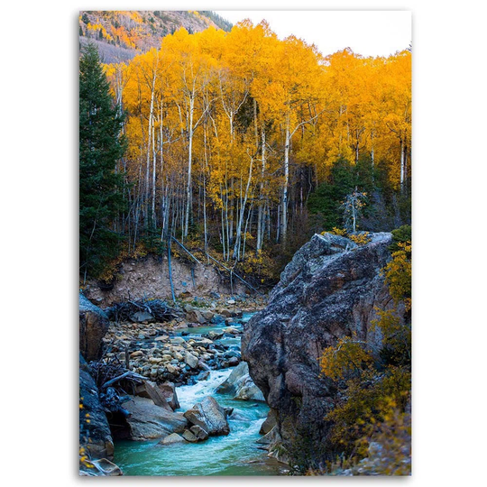 Canvas Print Stream Forest Nature Yellow