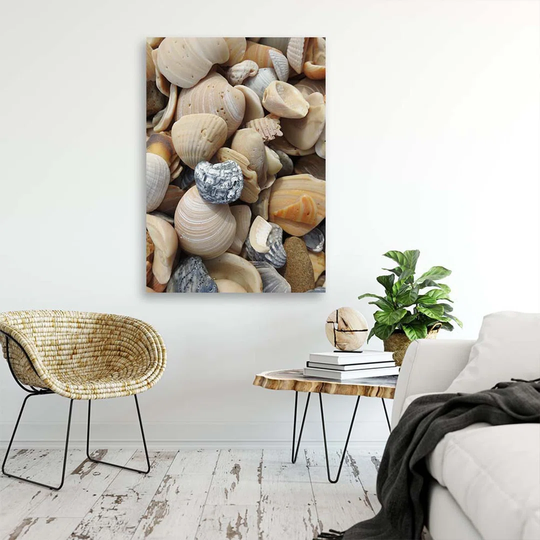 Canvas Print Shells Stones Sea