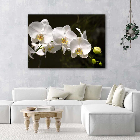 Canvas Print Orchid Flower White