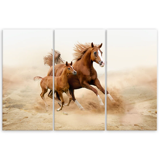 Canvas Print Bay Horse Galop Nature