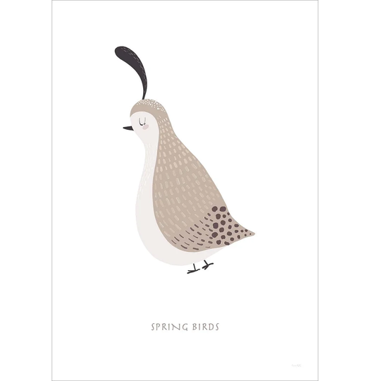 Springbirds Graphic Art Print Poster