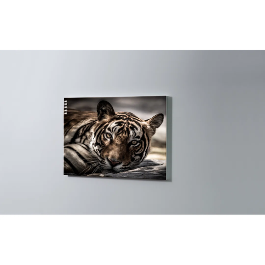 Tiger Magnetic Wall Mounted Cork Board