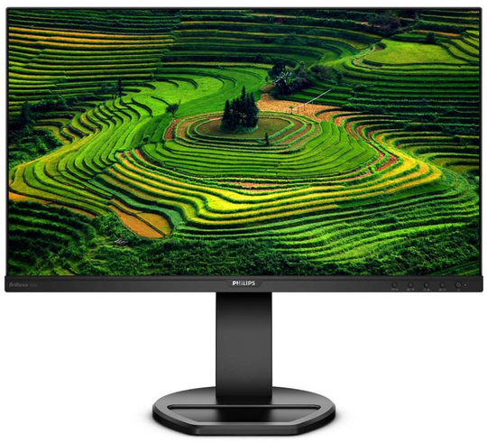 Philips 241B8QJEB 24" IPS Full HD LCD Monitor