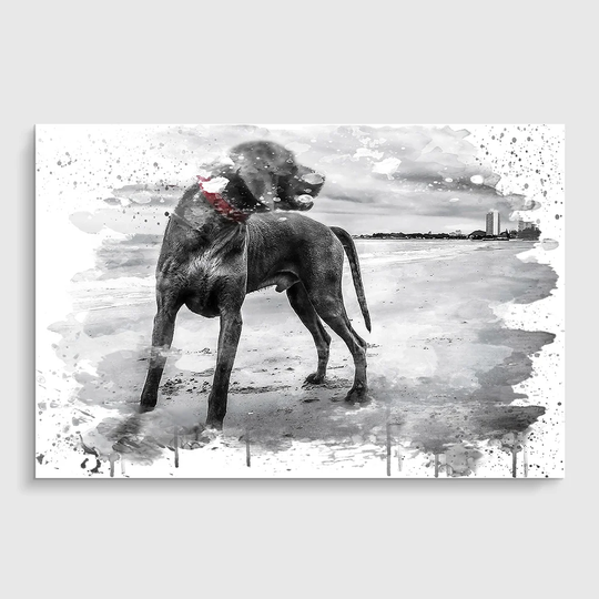 'Weimaraner Dog' Graphic Art Print Poster