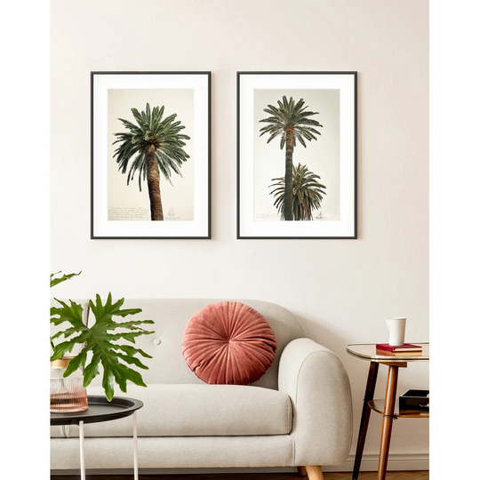 Tall Palm Trees Diptych - 2 Piece Picture Frame Photograph Print Set on Paper