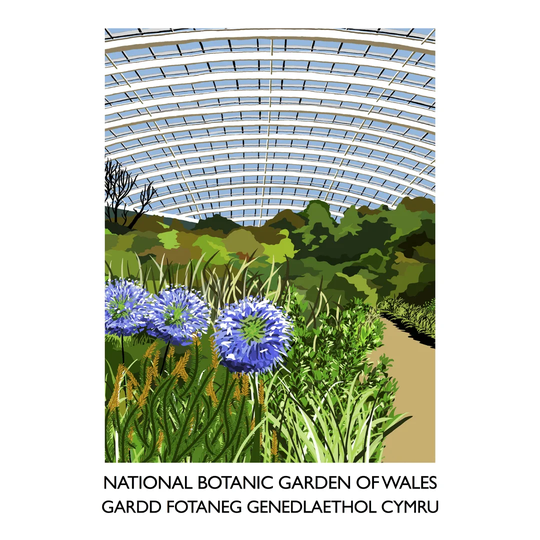 National Botanic Garden of Wales 2 by Richard O'Neil - Graphic Art Print on Paper
