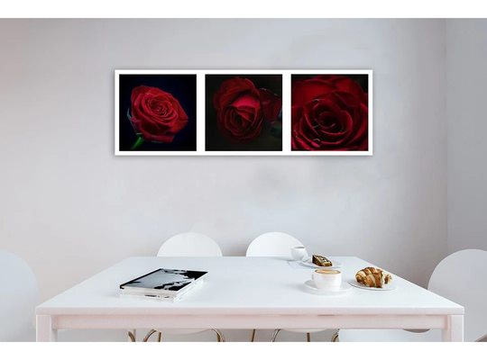 Canvas Print Red Roses Set